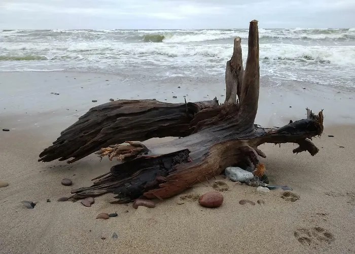 Apartment Yzzi Palanga